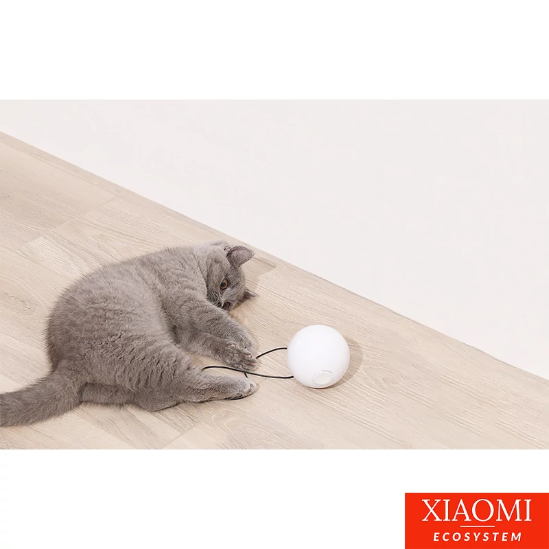 xiaomi_homerunpet