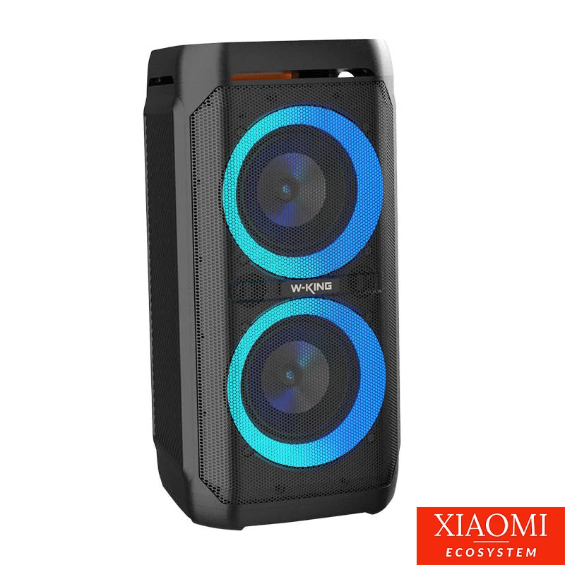 W-KING T11 vezeték nélküli Bluetooth hangszóró, 100W, fekete