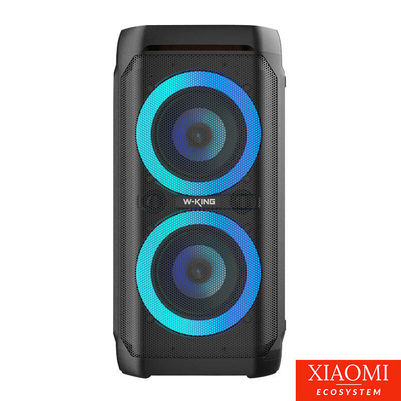 W-KING T11 vezeték nélküli Bluetooth hangszóró, 100W, fekete