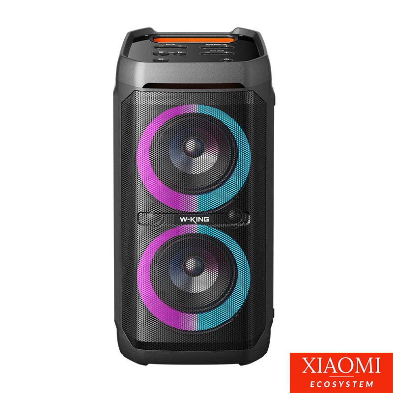 W-KING T11 vezeték nélküli Bluetooth hangszóró, 100W, fekete