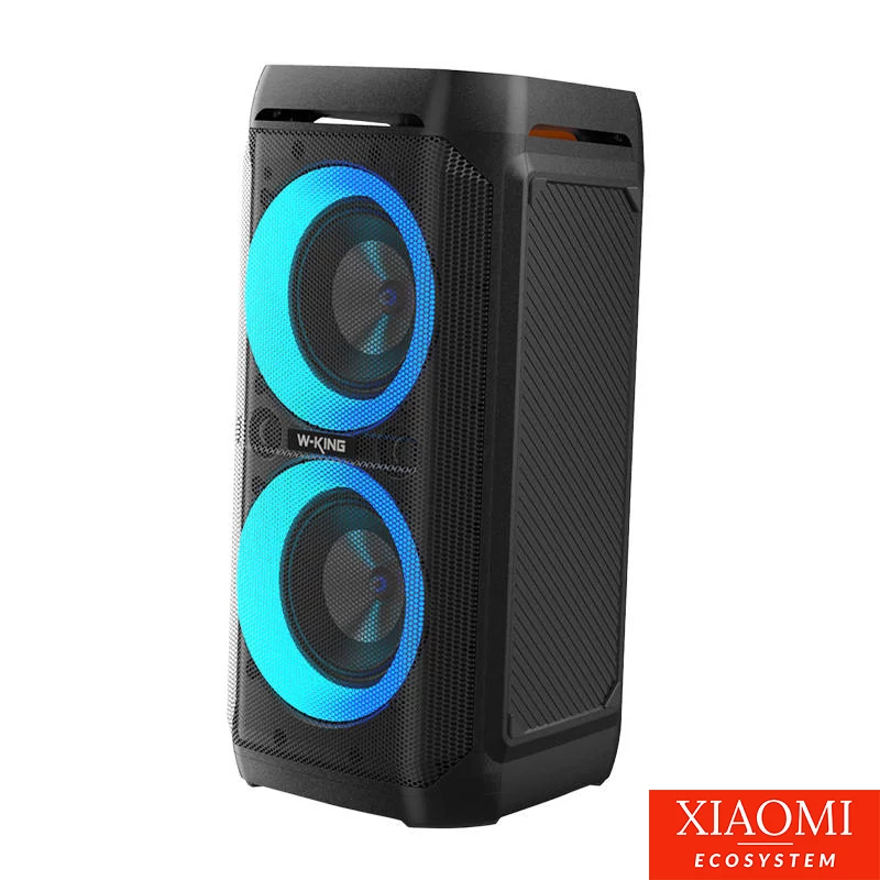 W-KING T11 vezeték nélküli Bluetooth hangszóró, 100W, fekete
